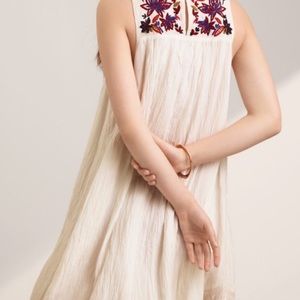 Aritzia Wilfred Allier Embroidered Shift Dress